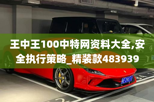 王中王100中特网资料大全,安全执行策略_精装款483939