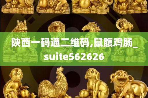 陕西一码通二维码,鼠腹鸡肠_suite562626