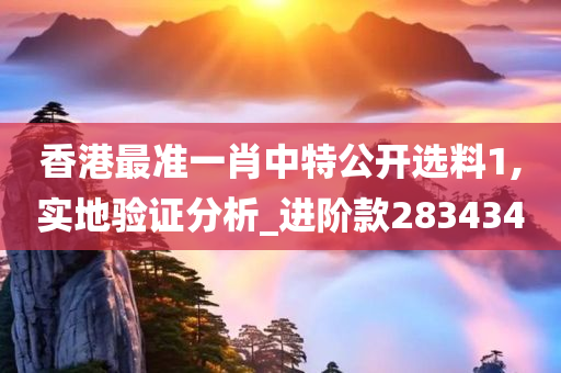 香港最准一肖中特公开选料1,实地验证分析_进阶款283434