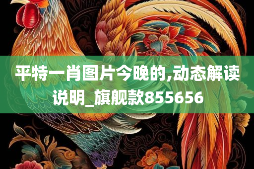 平特一肖图片今晚的,动态解读说明_旗舰款855656