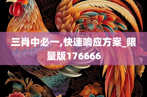 三肖中必一,快速响应方案_限量版176666