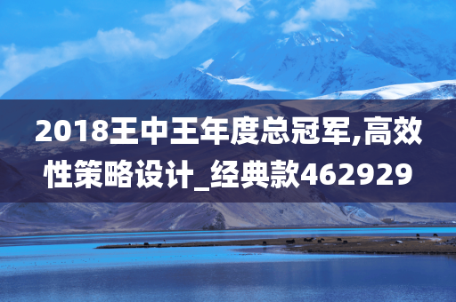 2018王中王年度总冠军,高效性策略设计_经典款462929