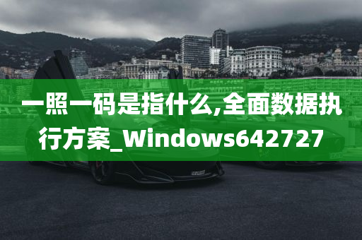 一照一码是指什么,全面数据执行方案_Windows642727