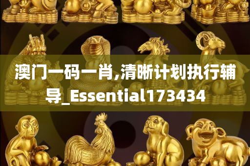 澳门一码一肖,清晰计划执行辅导_Essential173434