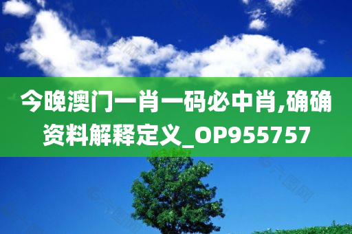 今晚澳门一肖一码必中肖,确确资料解释定义_OP955757