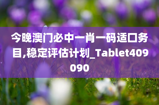 今晚澳门必中一肖一码适囗务目,稳定评估计划_Tablet409090