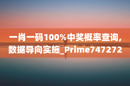 一肖一码100%中奖概率查询,数据导向实施_Prime747272