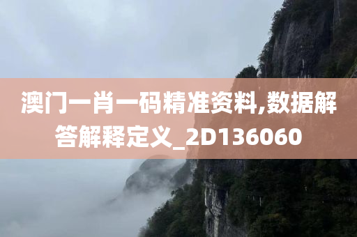 澳门一肖一码精准资料,数据解答解释定义_2D136060