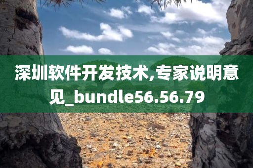 深圳软件开发技术,专家说明意见_bundle56.56.79