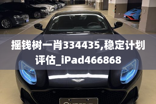 摇钱树一肖334435,稳定计划评估_iPad466868