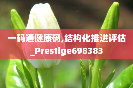 一码通健康码,结构化推进评估_Prestige698383