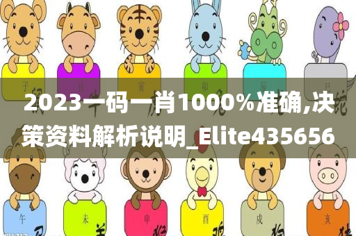 2023一码一肖1000%准确,决策资料解析说明_Elite435656