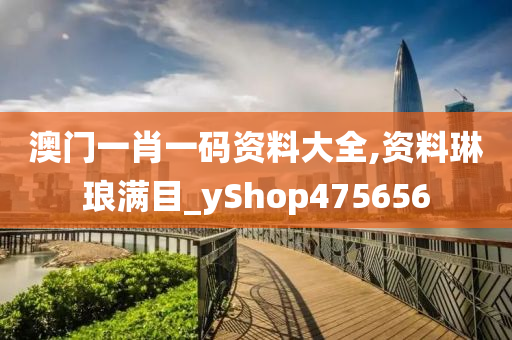 澳门一肖一码资料大全,资料琳琅满目_yShop475656