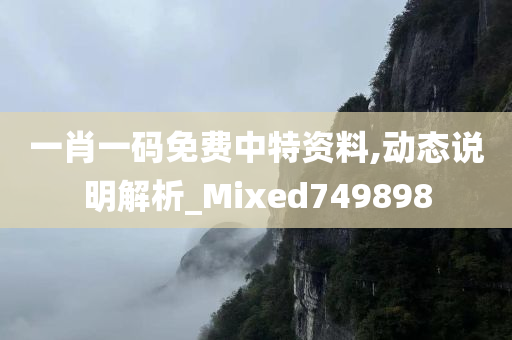 一肖一码免费中特资料,动态说明解析_Mixed749898