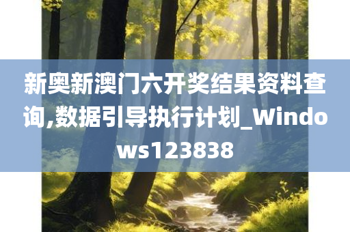 新奥新澳门六开奖结果资料查询,数据引导执行计划_Windows123838