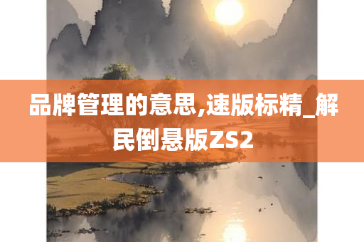 品牌管理的意思,速版标精_解民倒悬版ZS2