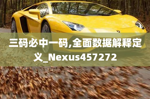 三码必中一码,全面数据解释定义_Nexus457272