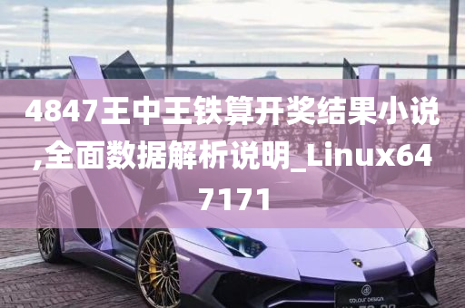 4847王中王铁算开奖结果小说,全面数据解析说明_Linux647171