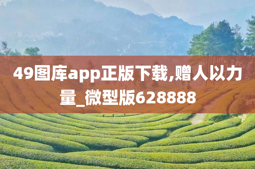 49图库app正版下载,赠人以力量_微型版628888