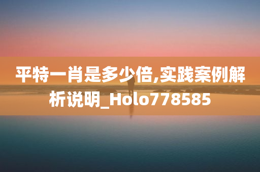 平特一肖是多少倍,实践案例解析说明_Holo778585