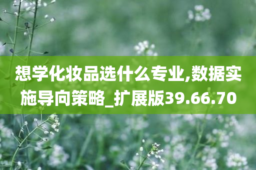 想学化妆品选什么专业,数据实施导向策略_扩展版39.66.70