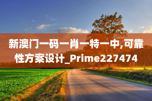 新澳门一码一肖一特一中,可靠性方案设计_Prime227474