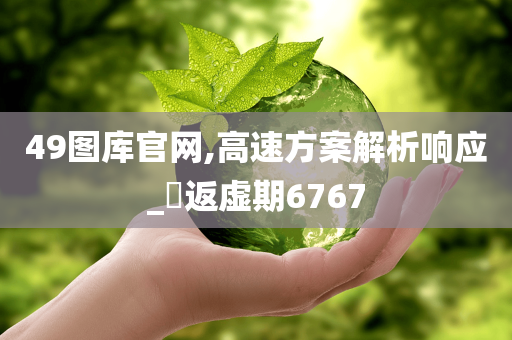 49图库官网,高速方案解析响应_‌返虚期6767