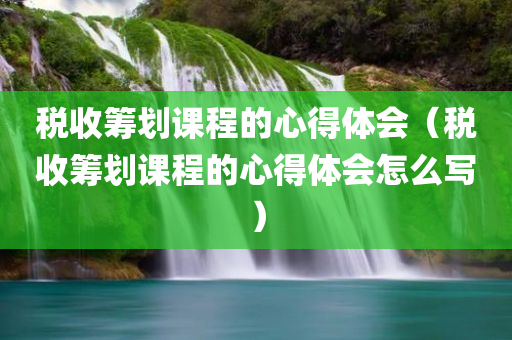 税收筹划课程的心得体会（税收筹划课程的心得体会怎么写）