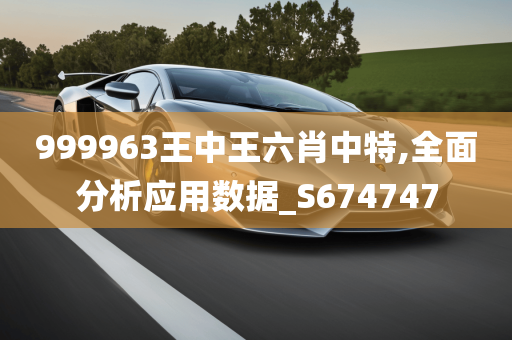 999963王中王六肖中特,全面分析应用数据_S674747