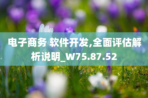 电子商务 软件开发,全面评估解析说明_W75.87.52