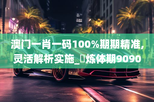 澳门一肖一码100%期期精准,灵活解析实施_‌炼体期9090