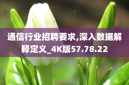 通信行业招聘要求,深入数据解释定义_4K版57.78.22