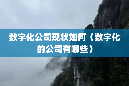 数字化公司现状如何（数字化的公司有哪些）