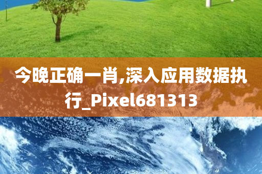 今晚正确一肖,深入应用数据执行_Pixel681313