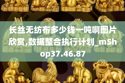 长丝无纺布多少钱一吨啊图片欣赏,数据整合执行计划_mShop37.46.87