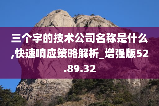 三个字的技术公司名称是什么,快速响应策略解析_增强版52.89.32