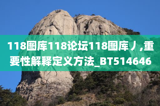 118图库118论坛118图库丿,重要性解释定义方法_BT514646