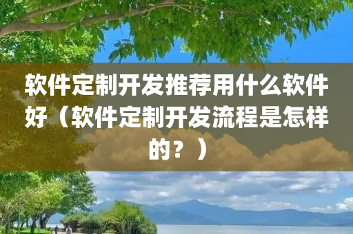 软件定制开发推荐用什么软件好（软件定制开发流程是怎样的？）