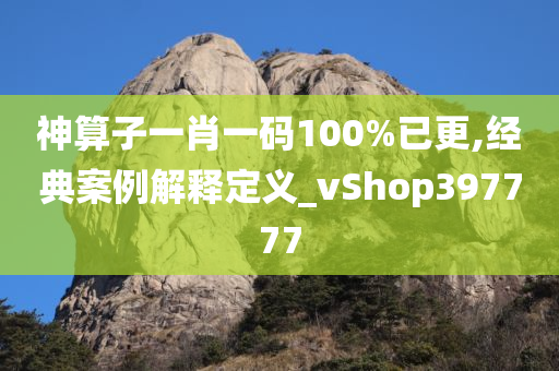 神算子一肖一码100%已更,经典案例解释定义_vShop397777