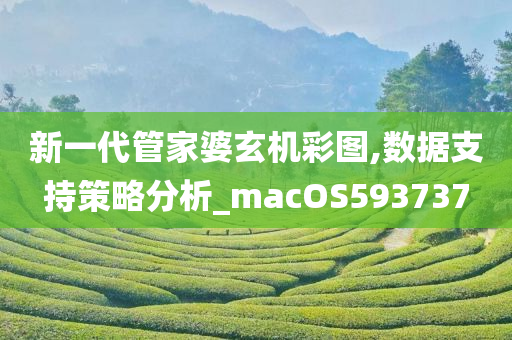 新一代管家婆玄机彩图,数据支持策略分析_macOS593737