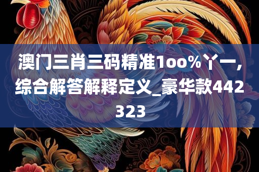 澳门三肖三码精准1oo%丫一,综合解答解释定义_豪华款442323