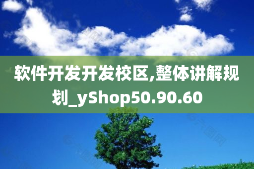 软件开发开发校区,整体讲解规划_yShop50.90.60