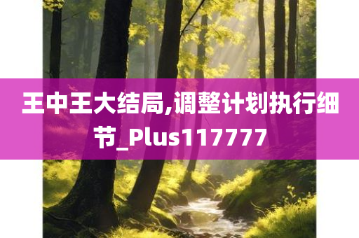 王中王大结局,调整计划执行细节_Plus117777