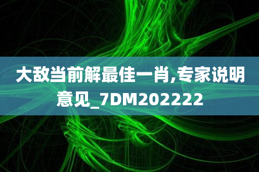 大敌当前解最佳一肖,专家说明意见_7DM202222