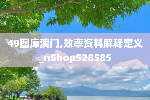 49图库澳门,效率资料解释定义_nShop528585