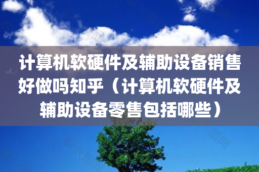 计算机软硬件及辅助设备销售好做吗知乎（计算机软硬件及辅助设备零售包括哪些）