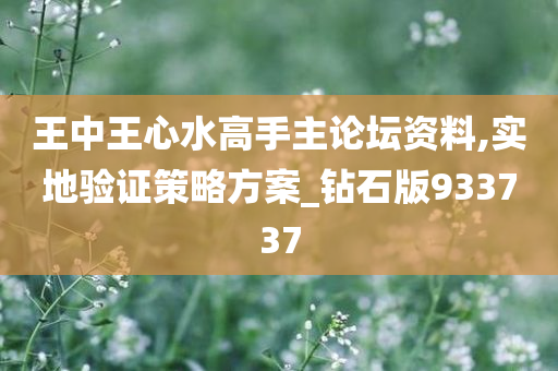 王中王心水高手主论坛资料,实地验证策略方案_钻石版933737