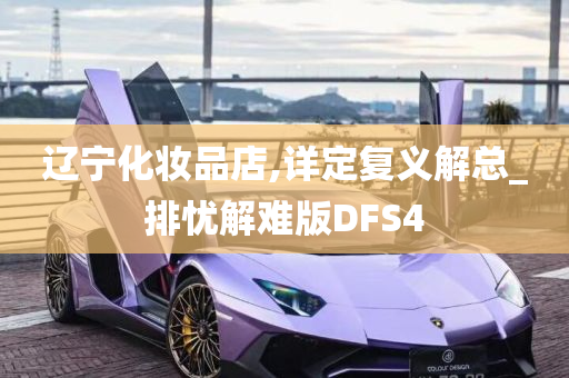 辽宁化妆品店,详定复义解总_排忧解难版DFS4