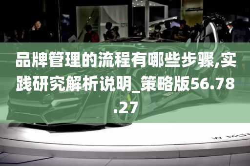 品牌管理的流程有哪些步骤,实践研究解析说明_策略版56.78.27