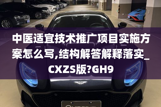 中医适宜技术推广项目实施方案怎么写,结构解答解释落实_CXZS版?GH9